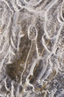 bizarre Eisgestalt