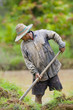 asian farmer preparing the ground for the growth of rice