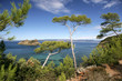 PINS MARITIMES, PLAGE DE LA PALUD, ROCHER DU RASCAS, PORT-CROS, PINS MARITIMES, PLAGE DE LA PALUD, ROCHER DU RASCAS, PORT-CROS,