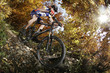 downhill herbst blätterwald