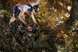 downhill herbst blätterwald