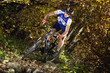 downhill herbst blätterwald