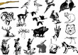 Vector: Chasse Chasse
