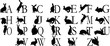 The alphabet a symbol hares of the letter