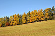 Autunno in Alto Adige Autunno in Alto Adige