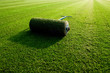 Rollrasen 02
