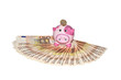 pink piggy moneybox with a euro coin and many 50 Euro bank notes pink piggy moneybox with a euro coin and many 50 Euro bank notes