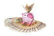 funny pink piggy bank money box on fifty euro banknotes funny pink piggy bank money box on fifty euro banknotes