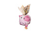 pink piggy bank money box with one eurocent coin and fifty euro pink piggy bank money box with one eurocent coin and fifty euro
