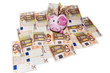 funny pink piggy bank money box on fifty euro banknotes funny pink piggy bank money box on fifty euro banknotes