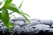 Foto: spa concept spa concept