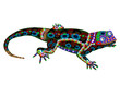 lizard