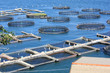 fish farm in La Spezia Italy fish farm in La Spezia Italy