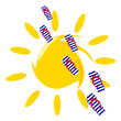 Vector: flip flop and sun on white background illustration flip flop and sun on white background illustration