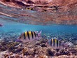 Underwater