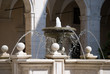 Fontana