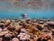 Underwater