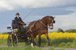woman carriage