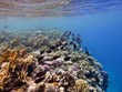 Underwater
