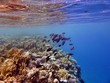 Underwater