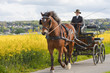 woman horse carriage