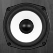loud speaker loud speaker