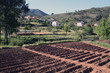 Sauceda (Hurdes, España)
