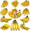 fruit banana