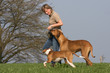 Frau mit zwei Hunden auf der Wiese