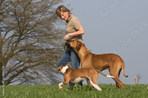 Photo: Frau mit zwei Hunden auf der Wiese Frau mit zwei Hunden auf der Wiese