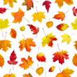 Photo: seamless autumn leaves on a white background seamless autumn leaves on a white background