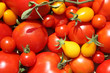 Barquette de tomates.