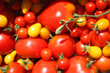 Barquette de tomates.