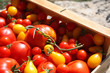 Barquette de tomates.