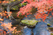 cold stream in the autumn forest
