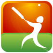 human playing cricket game