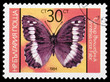 Butterfly on a postage stamp Butterfly on a postage stamp