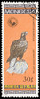Bird on a postage stamp Bird on a postage stamp