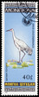 Bird on a postage stamp Bird on a postage stamp