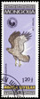 Bird on a postage stamp Bird on a postage stamp
