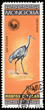 Bird on a postage stamp Bird on a postage stamp