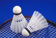 Badminton shuttlecock and racket concepts of sports