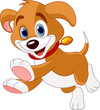 Running funny puppy Running funny puppy