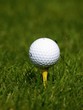 Golf ball