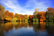 Foto: Bäume am See im Herbst Bäume am See im Herbst