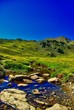 paysage