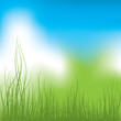 Green Grass and blue sky. Vector illustration