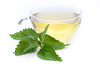 urtica dioica - Brennesseltee