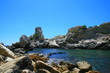 calanques de luminy sugiton à Marseille