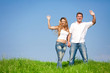 Foto: Summer meadow Summer meadow